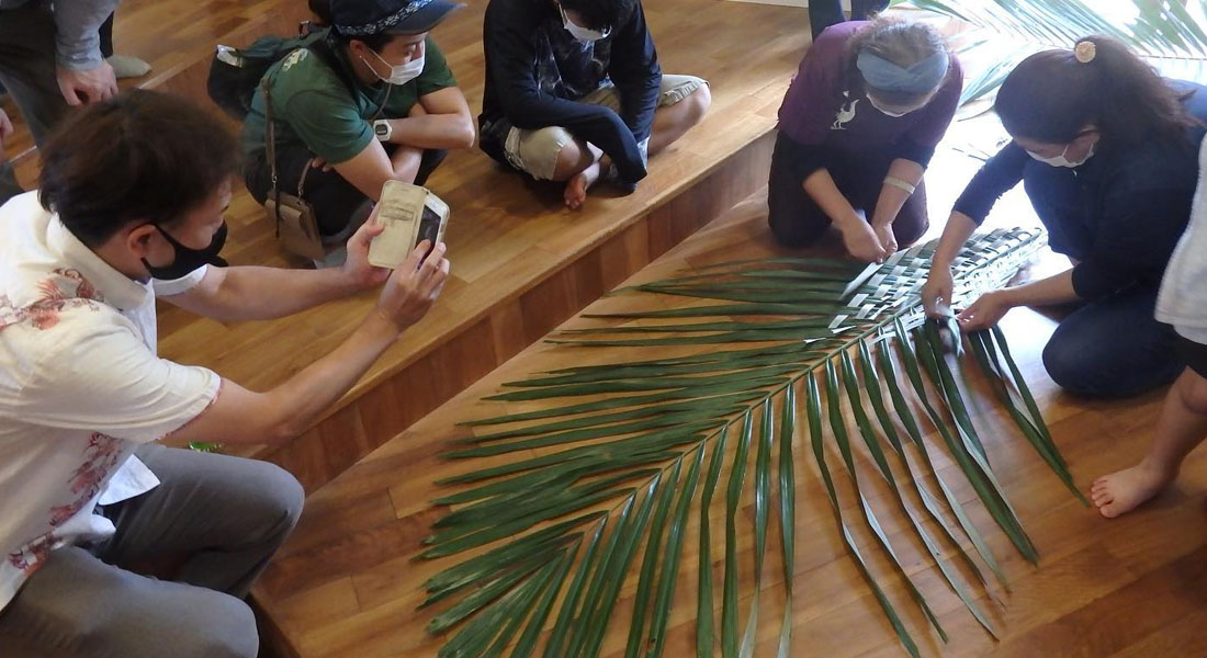 沖縄伝統の遊び「草玩具」って知っていますか？　沖縄文化を伝えるやんばる森のおもちゃ美術館